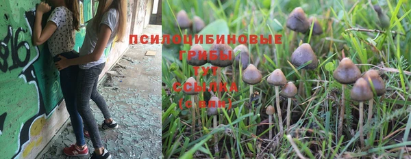 мефедрон Корсаков