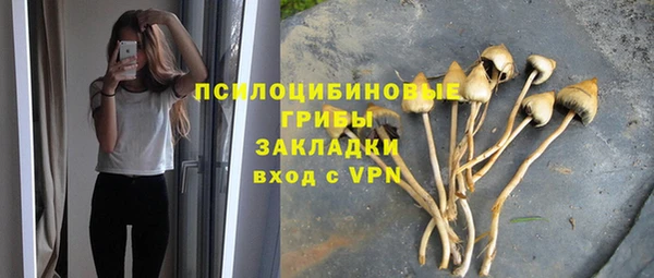 меф Коряжма